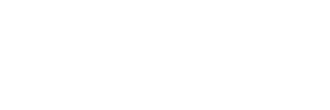 logo image white